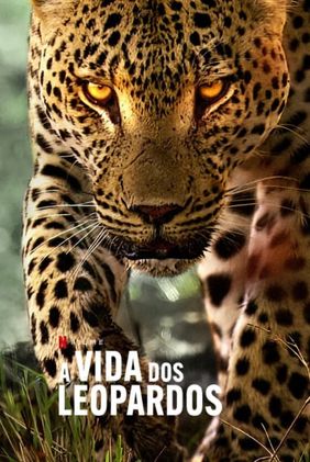 A Vida dos Leopardos